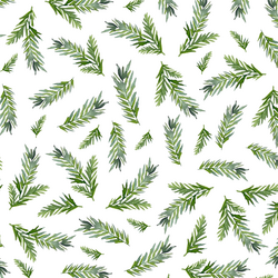 Large Pine Branches in Snow White