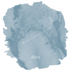 Aries Sign Panel in Marine