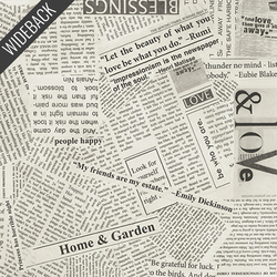 Newsprint Wideback in Spackle