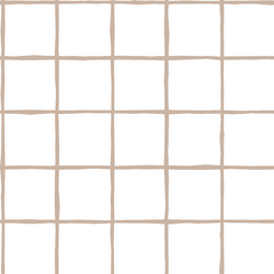Windowpane in Sand on White