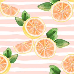 Large Citrus Slices in Pink Lemonade Stripe