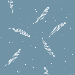 Meteor Shower in Marine