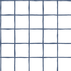 Windowpane in Midnight on White