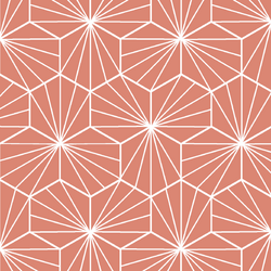 Radiate in Desert Rose