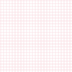 Little Gingham in Soft Pink