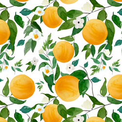 Large Oranges in White