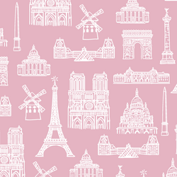 Jadore Paris in Carnation