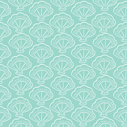 Shells in Splash