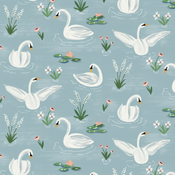 A Swan's Tale in Spring Pond