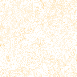 Paperie in Creamsicle on White