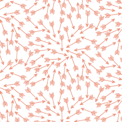 Arrows in Grapefruit on White
