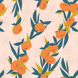 Orange Grove in Caribe