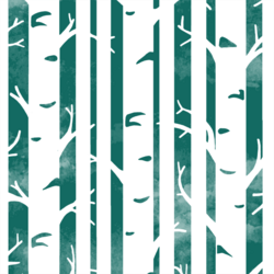 Big Birches in Emerald