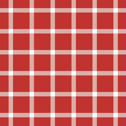 Large Liberty Gingham in Firecracker Red