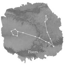 Pisces Sign Panel in Charcoal