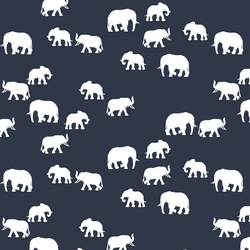 Elephant Silhouette in Eclipse