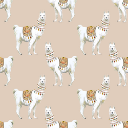 Llamas in Cashmere