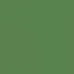Free Spirit Designer Solid in Grass
