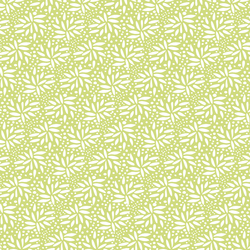 Seeds in Spring Green