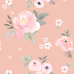 Sweet Blush Roses in Petal