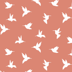 Hummingbird Silhouette in Desert Rose