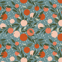 Little Grapefruit in Rainy Morning