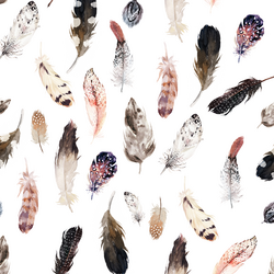 Falling Feathers in White