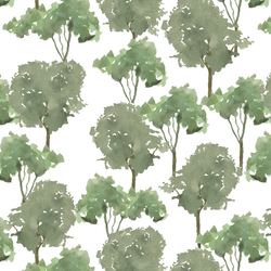 Big Treetops in Forest