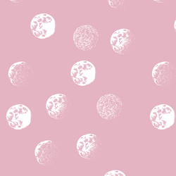 Moondance in Carnation