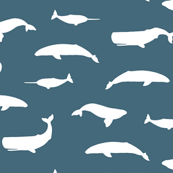 Whale Silhouette in Lake