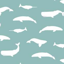 Whale Silhouette in Pool