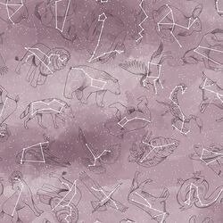 Constellations in Celestial
