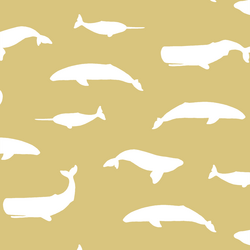 Whale Silhouette in Honey