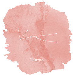 Taurus Sign Panel in Tulip