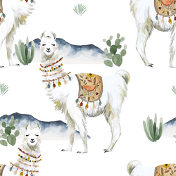 Big Mountain Llama in White