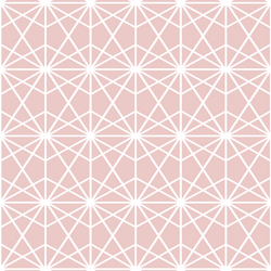 Terrarium in Blush