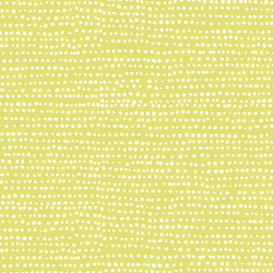 Moonscape in Endive