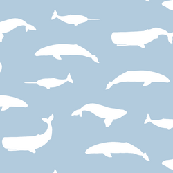 Whale Silhouette in Sky