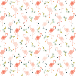 Little Flamingos in Paradise