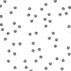 Tracks in Onyx