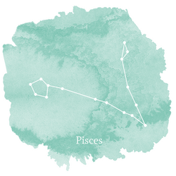 Pisces Sign Panel in Succulent