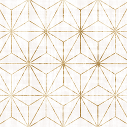 Large Star Geo in White and Gold