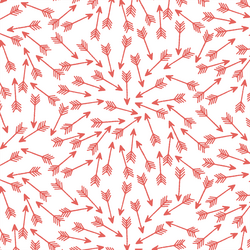 Arrows in Salmon on White