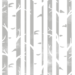 Big Birches in Pebble
