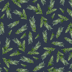 Large Pine Branches in Evening Blue