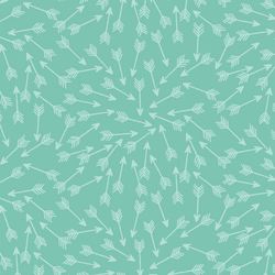 Tonal Arrows in Succulent