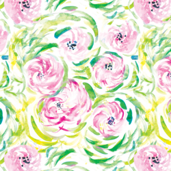 Peonies in Garden