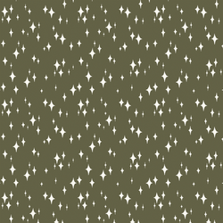 Starry Night in Forest