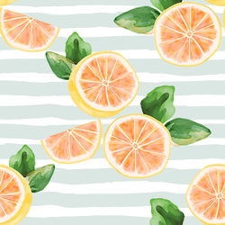 Large Citrus Slices in Iced Aqua Stripe