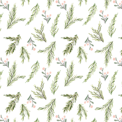 Pine Berry in Delight